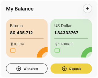 Falcao Capitorio automated trading solution dashboard overview
